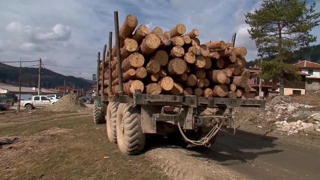 Шофьор скочи от камион с дърва заради проблеми със спирачките в Разградско