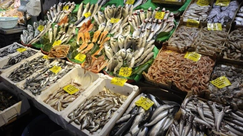 Temmuz ayında 12 balık türünü ne evinize sokun ne yiyin